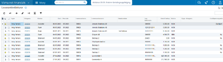 Visma Net filtrere
