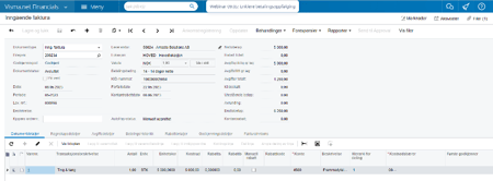 Visma Net filer